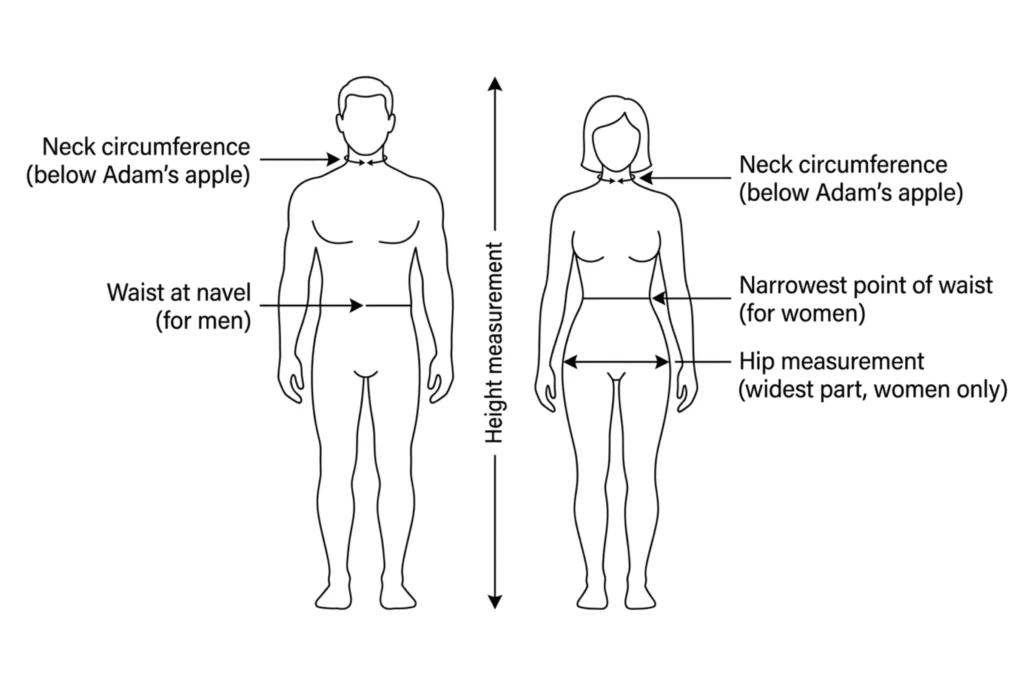 US Navy body fat tape measurement method showing neck and waist circumference