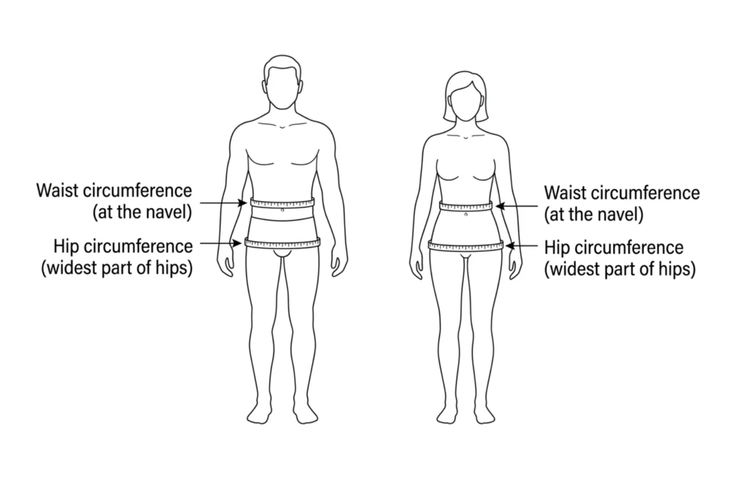 Waist to hip ratio measurement diagram showing correct tape placement for waist and hips